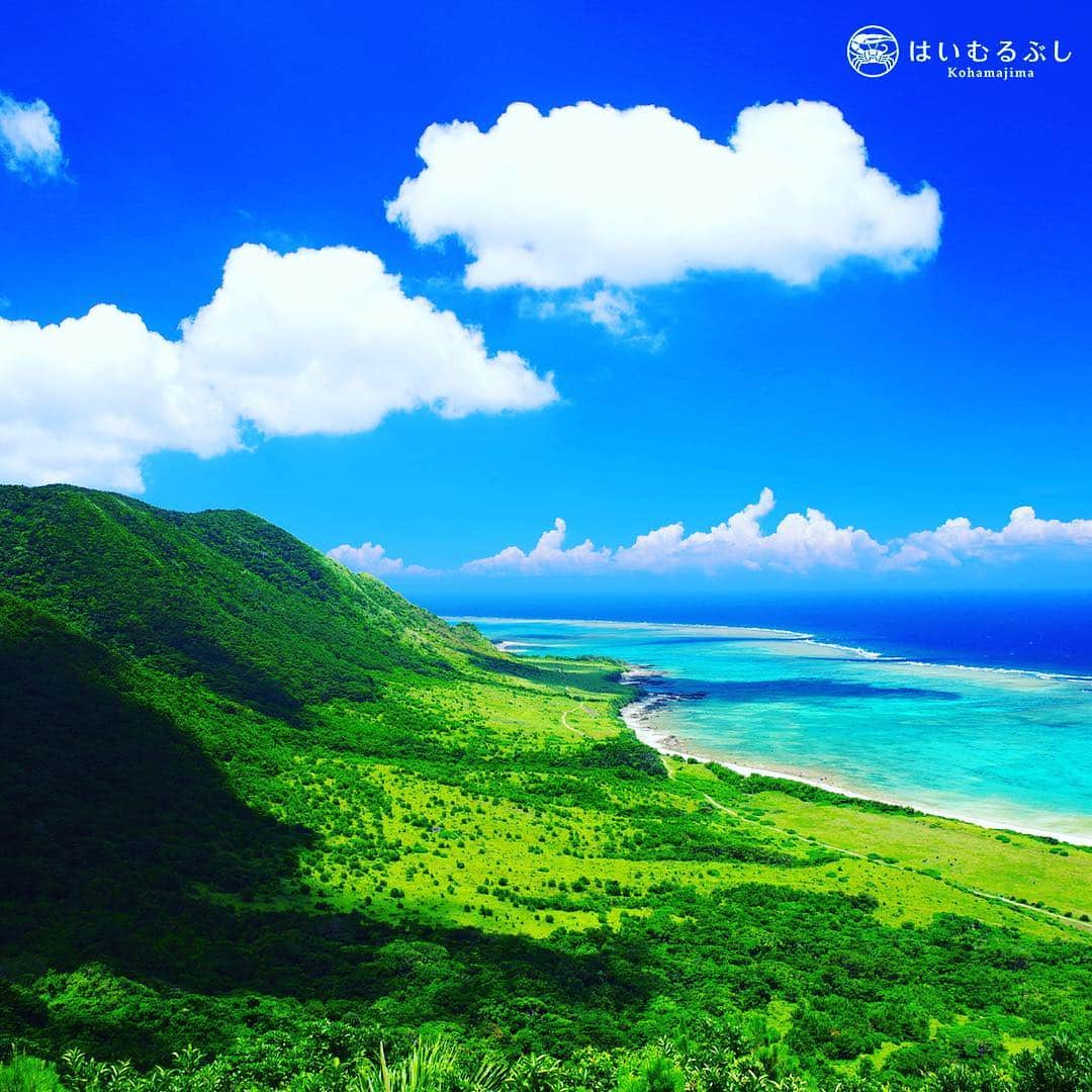 HAIMURUBUSHI はいむるぶしさんのインスタグラム写真 - (HAIMURUBUSHI はいむるぶしInstagram)「石垣島平久保半島の東部の風景。鮮やかな青い海と亜熱帯ジャングルの自然美がステキです。#沖縄 #八重山 #石垣島 #平久保崎 #亜熱帯 #自然 #青い海 #はいむるぶし  #japan #okinawa #yaeyama #ishigaki #fforest #bluesea #kohamajima #beach #resort #haimurubushi @masafumi_takezawa_okinawa」2月22日 21時54分 - haimurubushi_resorts