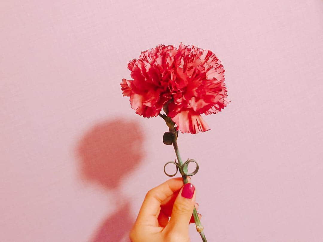 堀田茜さんのインスタグラム写真 - (堀田茜Instagram)「❤️🌹綺麗に咲いた」2月22日 20時15分 - akanehotta