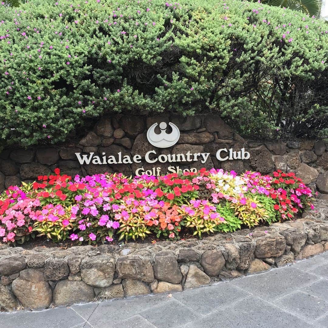 宮崎宣子さんのインスタグラム写真 - (宮崎宣子Instagram)「雨予報で、ゴルフ中止になりましたが、 SONYオープンがあるゴルフ場で、ランチしてきました⛳️😊🌺 #waialae #waialaecountryclub #sonyopen #hawaii #hawaiigolf #ゴルフ好き #ゴルフ女子 #ゴルフ場 #雨天中止 #golfstagram #宮﨑宣子」2月23日 13時55分 - miyazaki_nobuko