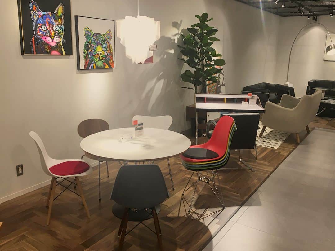 TIMELESS CRAFTさんのインスタグラム写真 - (TIMELESS CRAFTInstagram)「タイムレスクラフト幕張店は昨年11/23にオープンして、今日でちょうど3か月になります。この3か月でお店のレイアウトも展示商品もだいぶ変わりました。これは幕張店オープン直後のフォトです。 ・ 地域のお客様に今後もご愛顧いただくために、形を変え、品を変え、切磋琢磨していく所存でございますが、時々私どもスタッフもこのオープン時のフォトを見て初心に帰ろうと思います。 ・ 以上、今日も地味に定時あがりの通称ジミー・テイジがお送りしました。 ご来店をお待ちしております＼(^o^)／ ・ #timelessclaft #タイムレスクラフト #家具#ソファ#ダイニングテーブル#デザイナーズ家具#リプロダクト#コルビュジェ#lc2 #lc3#lc6#lc10#シェルチェア#イームズチェア #セブンチェア#アントチェア#サイクロンテーブル#イサムノグチ#バルセロナチェア#アルコランプ#リビング#新生活#引越し#家具買い替え#イオン幕張新都心#グランドモール2F#幕張#千葉#海浜幕張」2月23日 15時00分 - esq_innovate