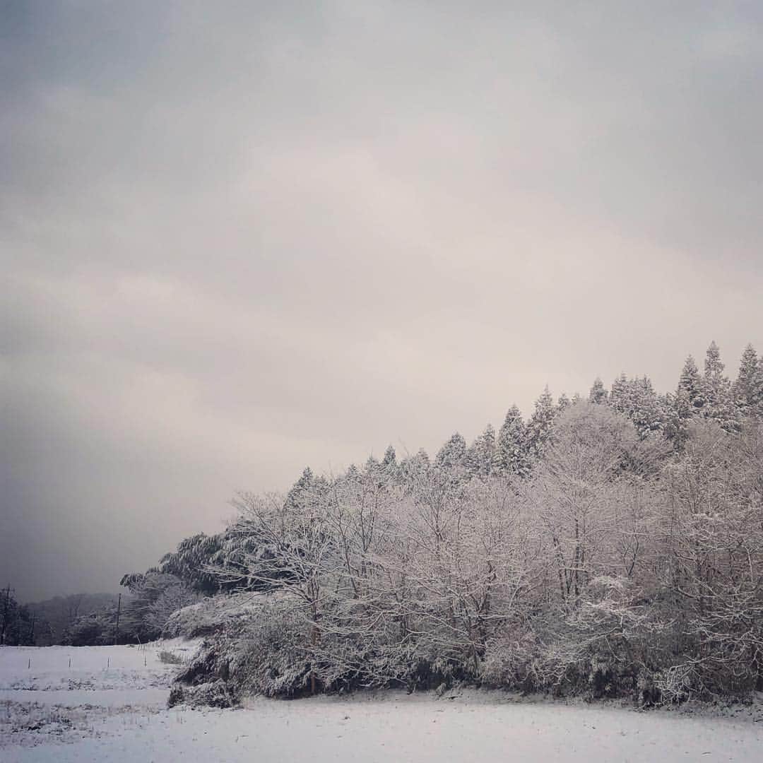 我妻マリのインスタグラム：「この冬三度目の雪は翌朝太陽が 出るとすうっと溶けてしまった。」