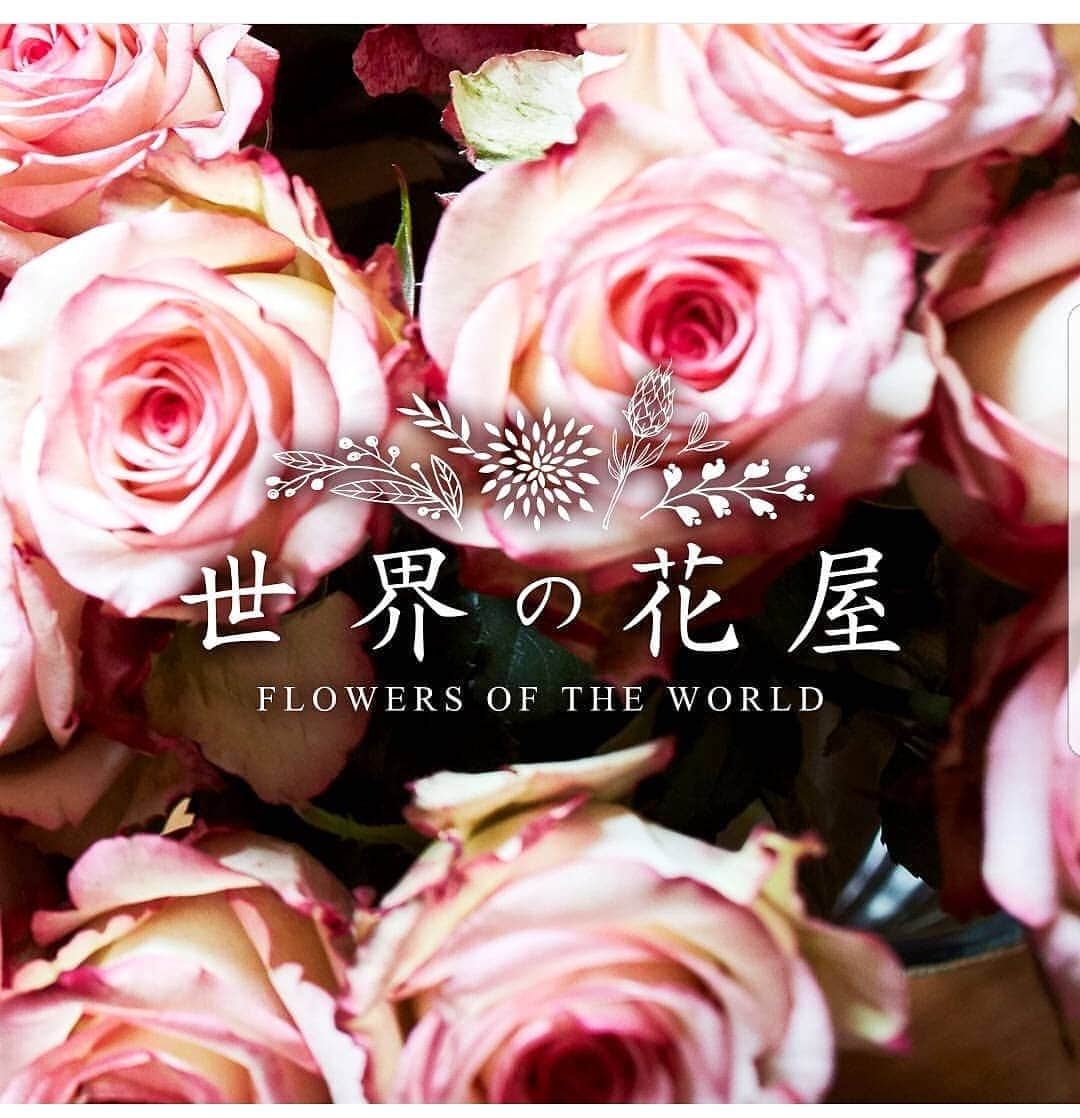 指宿洋史のインスタグラム：「「世界の花屋」さんにて、コラムvol.2を書かせていただきました。 今回はスペインのお祭りについて。 是非ご覧下さい。  @sekainohanaya  http://sekainohanaya.com/archives/1907  #世界の花屋 #前田有紀 さん監修の花屋 #小林さんありがとうございます」