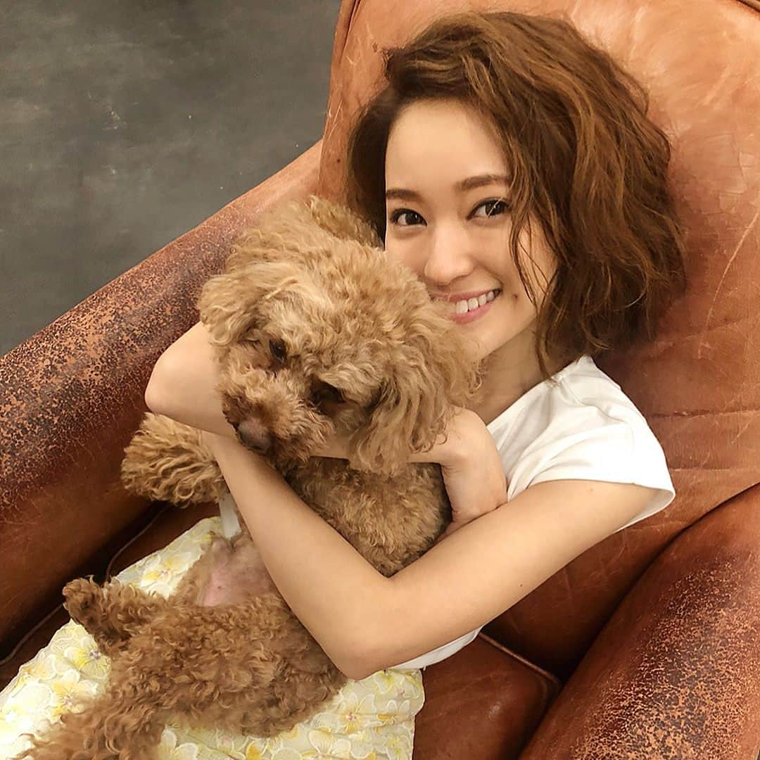 chayさんのインスタグラム写真 - (chayInstagram)「小次郎連れてCanCam撮影へ🐶 長丁場の撮影だったけど、ずっといい子にしててくれました♥️ 明日は13:10から、丸ビル1階にて東京マラソン×chayハートステーションのイベント🏃‍♀️トークショーやミニLIVEもあるので是非遊びにきてね😊 #東京マラソン #cancam #toypoodle #poodle #トイプードル #小次郎」2月23日 20時43分 - chay1023_official