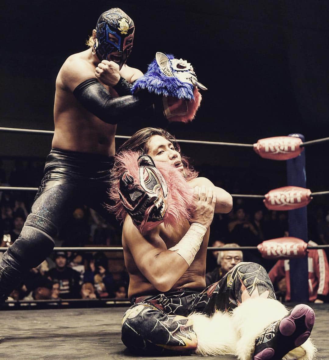 のインスタグラム：「#BUSHI and #HIROMU!!💣 #losingobernablesdejapon  #njROH #njpw #ROH」