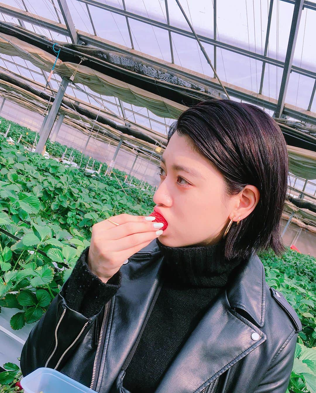 三吉彩花さんのインスタグラム写真 - (三吉彩花Instagram)「今日は家族でいちご狩りへ🍓 甘くて真っ赤ないちごが沢山ありました🤤  地元の近くのところに行ったら まさかのご夫婦が覚えてくださってました😭 最初に来たの10年前くらいなのに…  嬉しいですね😌 可愛いワンちゃんにも会えて幸せな日曜日です😌  皆様はいかがお過ごしですか⁇」2月25日 14時09分 - miyoshi.aa