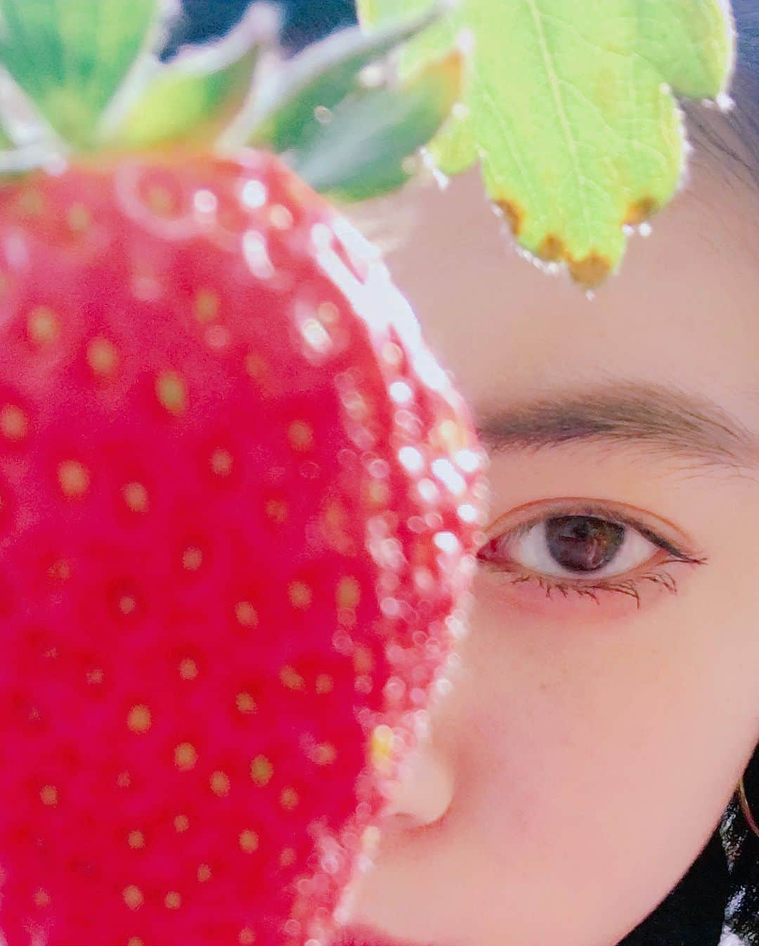 三吉彩花さんのインスタグラム写真 - (三吉彩花Instagram)「今日は家族でいちご狩りへ🍓 甘くて真っ赤ないちごが沢山ありました🤤  地元の近くのところに行ったら まさかのご夫婦が覚えてくださってました😭 最初に来たの10年前くらいなのに…  嬉しいですね😌 可愛いワンちゃんにも会えて幸せな日曜日です😌  皆様はいかがお過ごしですか⁇」2月25日 14時09分 - miyoshi.aa