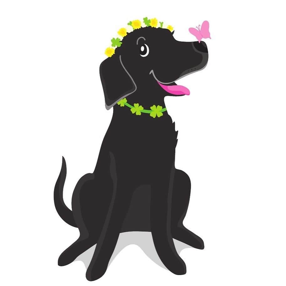 城北不動産さんのインスタグラム写真 - (城北不動産Instagram)「城北不動産のキャラクター、ウーちゃんです。 #ウーちゃん #幸せを運ぶ黒い犬 #城北不動産 #ハッピー #もうすぐ春ですね🌸」2月25日 11時42分 - johoku.f