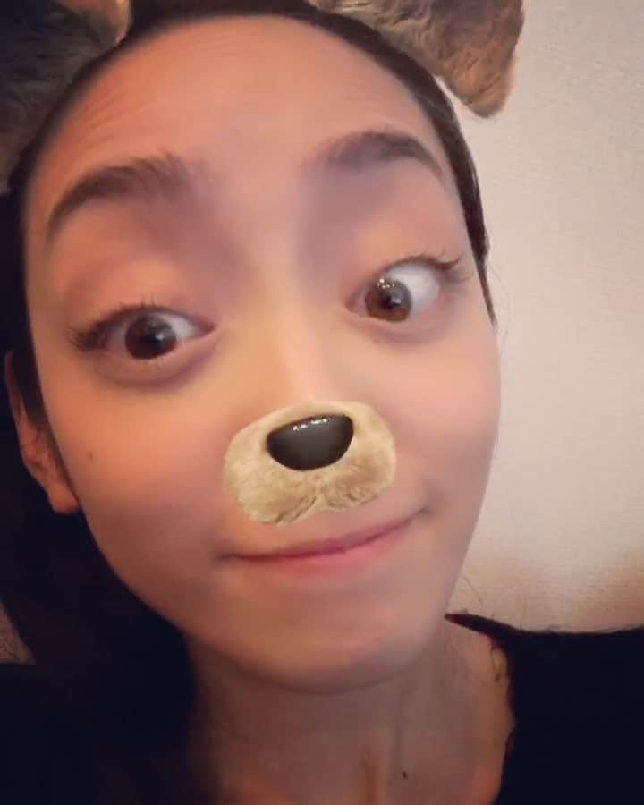 我謝レイラニのインスタグラム：「ストーリーにも載せたけど、暇すぎて犬になってみたよね〜🐶笑 今の時代はアプリで盛れるからありがたい🙏🏻 #詐欺盛り #犬盛り #盛り盛り〜」