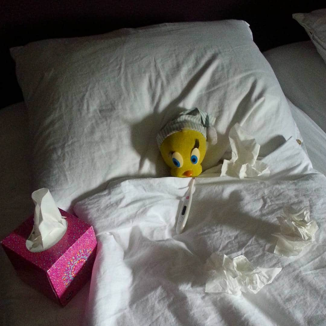 Little Yellow Birdさんのインスタグラム写真 - (Little Yellow BirdInstagram)「Aaaand now I'm sick!! Great. Just great. I'm starting to really hate 2018...hope it's not the bird flu... #littleyellowbird #tweety #tweetykweelapis #adventures #yellow #bird #sick #sickday #sickandtiredoffeelingsickandtired #flu #buikgriep #griep #stayinginbed #fever #birdflu #vogelgriep #2018sucks #notfeelingwell #notfeelingtoohot #stuffedanimalsofinstagram #plushiesofinstagram」2月25日 21時57分 - tweetykweelapis