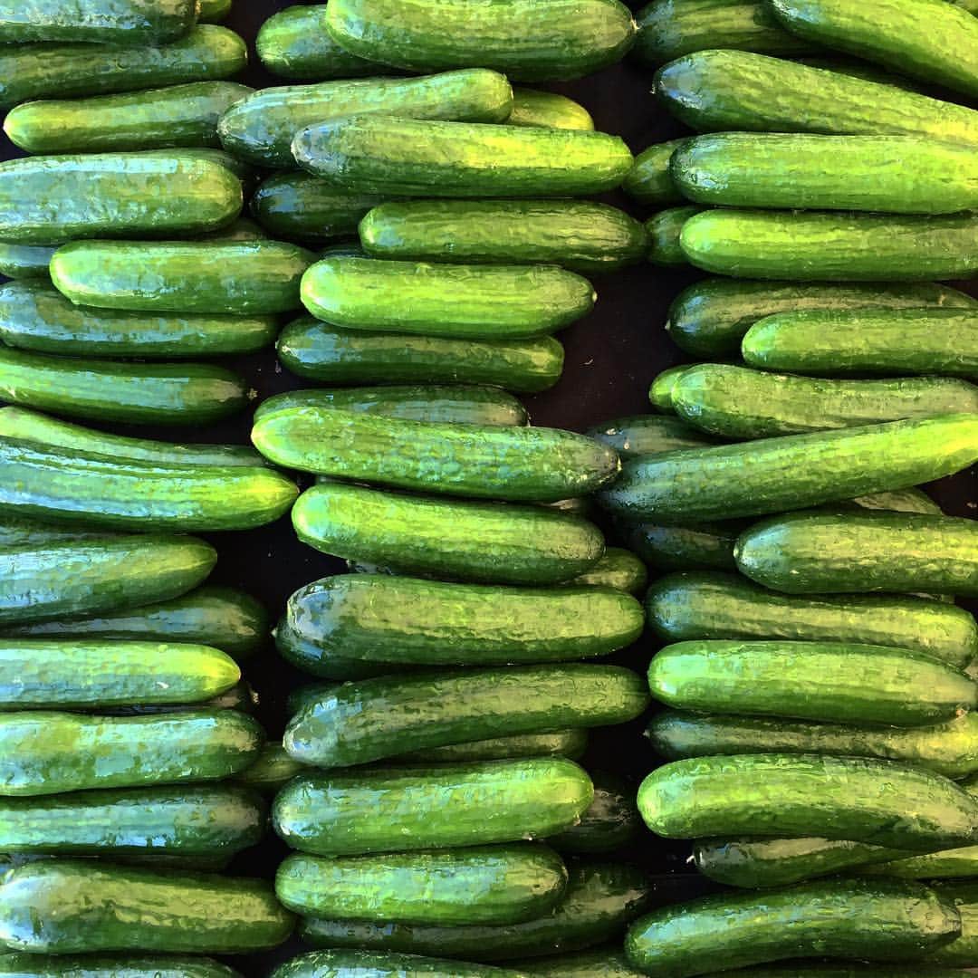 カミーラ・ベルさんのインスタグラム写真 - (カミーラ・ベルInstagram)「#felizdomingo #happysunday #feira #farmersmarket #pepino #cucumber」2月26日 6時15分 - camillabelle