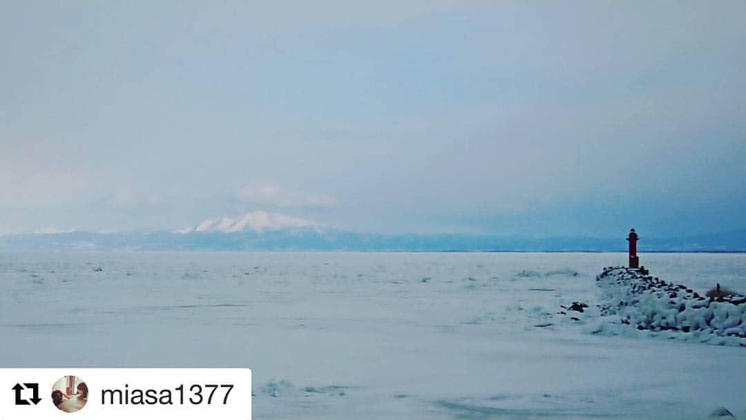 旅して体験！北海道のインスタグラム：「#Repost @miasa1377 (@get_repost) ・・・ 流氷がびっしりでもはや陸です。 流氷が来ると、空気が尖る。  地元民にとって、 流氷は見に行くものではなく、肌で感じるものなのです。笑  #北海道 #網走 #流氷 #カメラ女子 #オホーツク海  #Japan #地元 #帰省#写真撮るの好きな人と繋がりたい #撮って旅北海道」