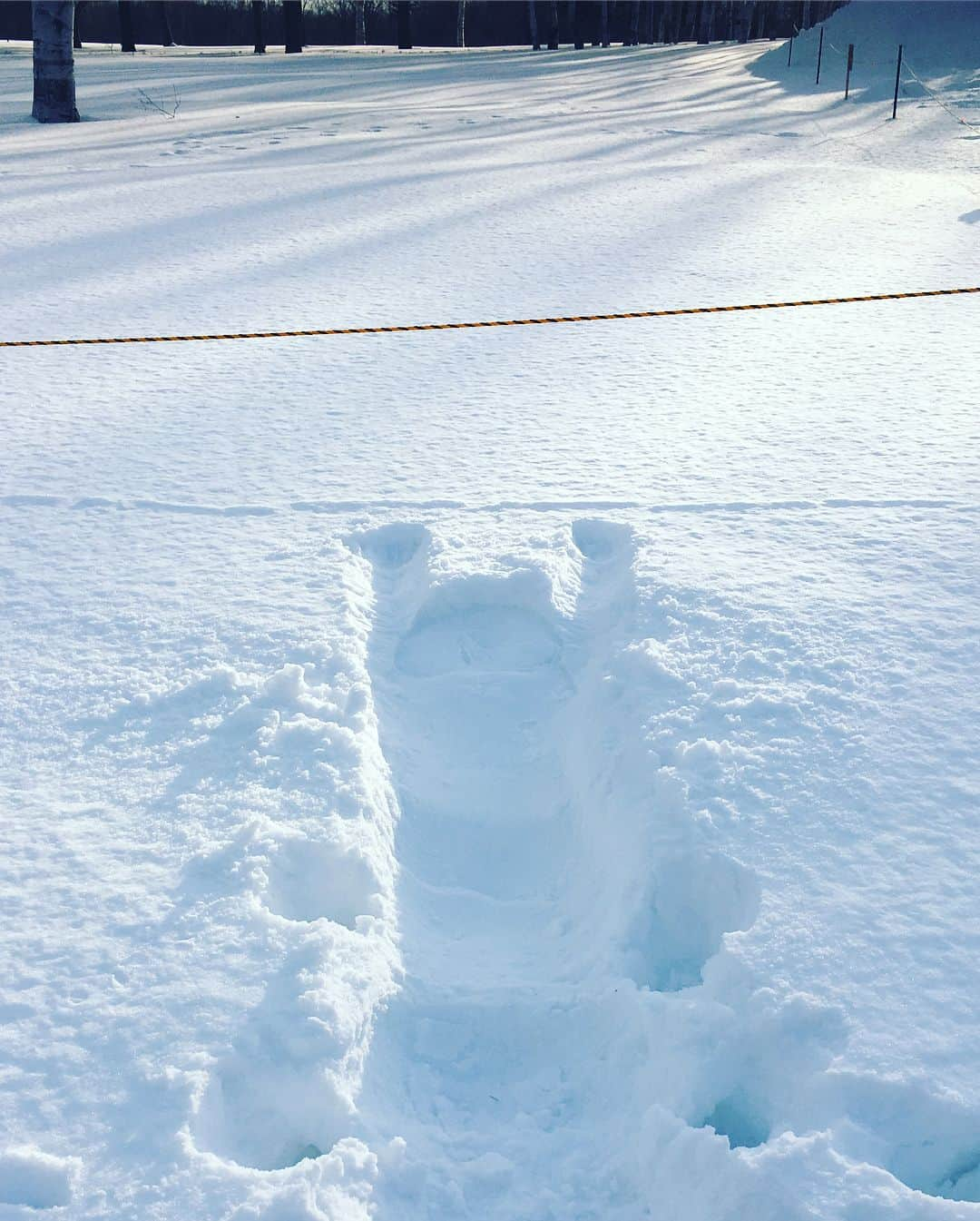 林田雪菜さんのインスタグラム写真 - (林田雪菜Instagram)「たっのしかったあー！！！ また行きたい〜❄️ #札幌 #初北海道 #定番観光地巡り #写真が大量すぎる #羊ヶ丘展望台 #クラーク博士 #boysbeambitious #サッポロビール園  #ビールとジンギスカン #さっぽろテレビ塔 #札幌市時計台 #ジャンプショット と #おばショット #とにかく雪がすごかった #でもふかふか #初めての雪ダイブ #最高 #冬好きにはたまらない #やっぱり雪好き #寒いのが好き #また行きたい #冬の北海道 #ただ凍った道路を歩くのは怖かった」2月26日 23時37分 - hayashidayukina