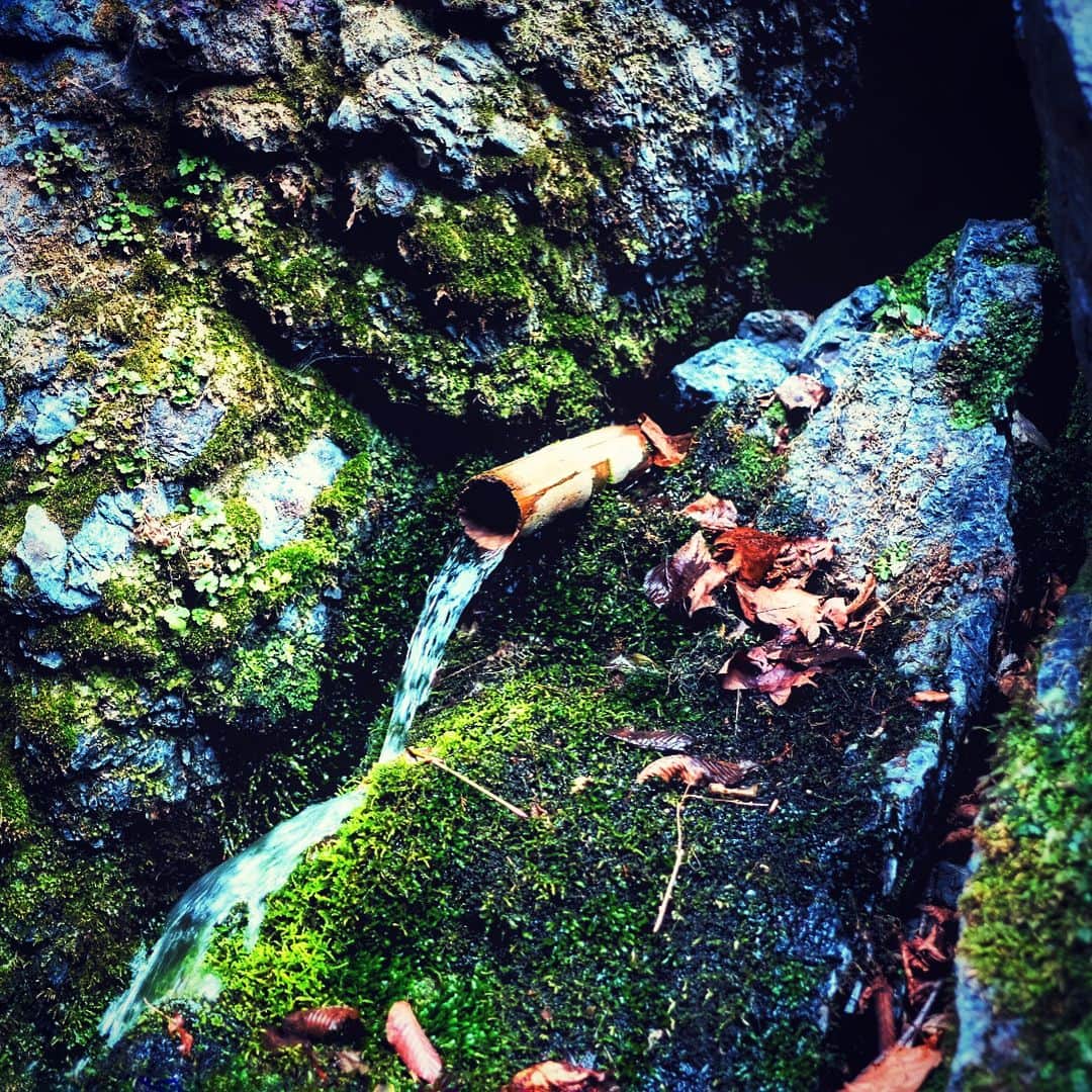長島慎治さんのインスタグラム写真 - (長島慎治Instagram)「滝見てきた。 #川苔山」2月27日 11時54分 - shing_nagashima
