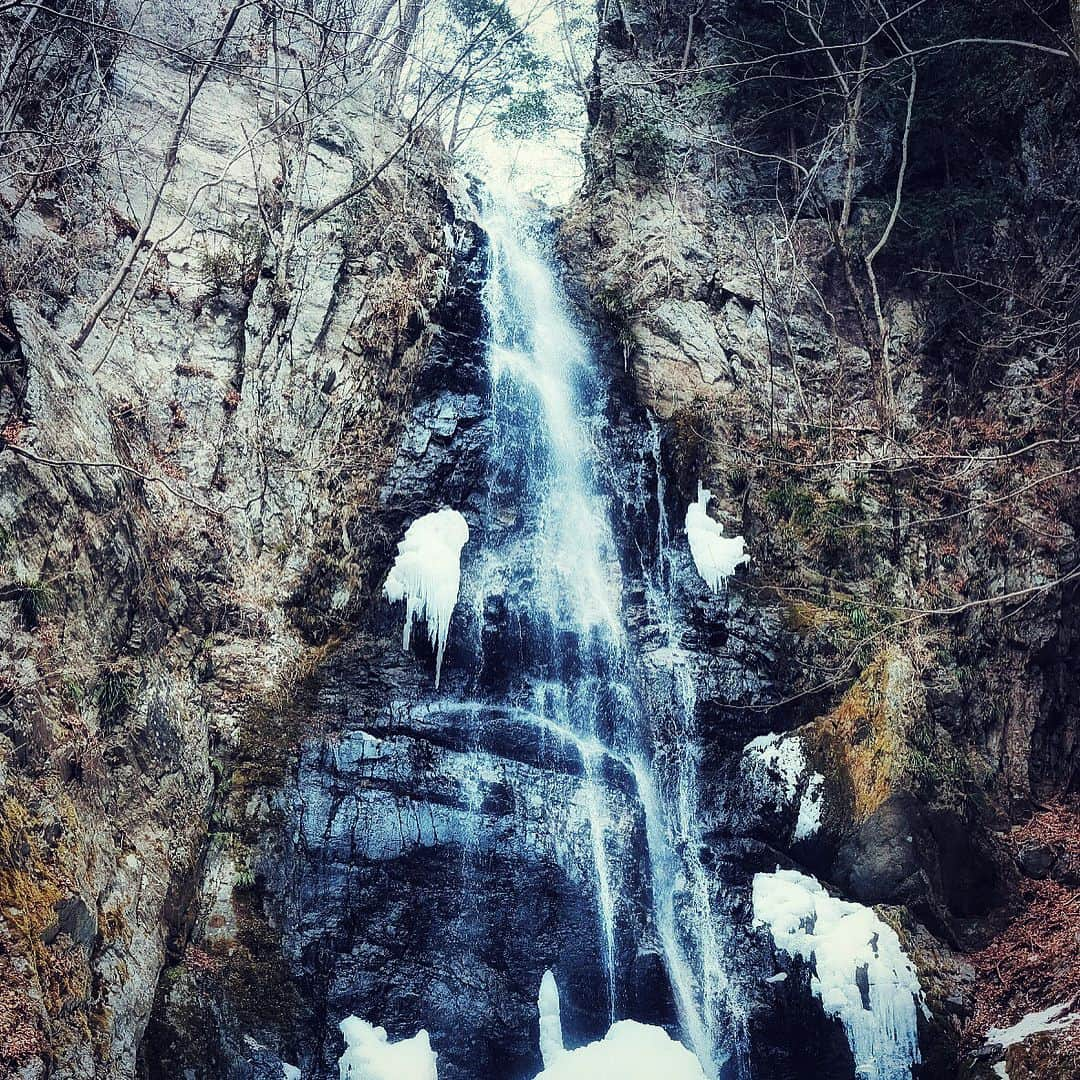 長島慎治のインスタグラム：「滝見てきた。 #川苔山」