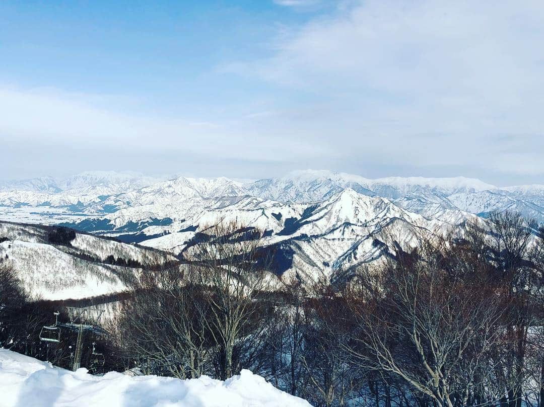 ポッキーのインスタグラム：「山に来た🏔」