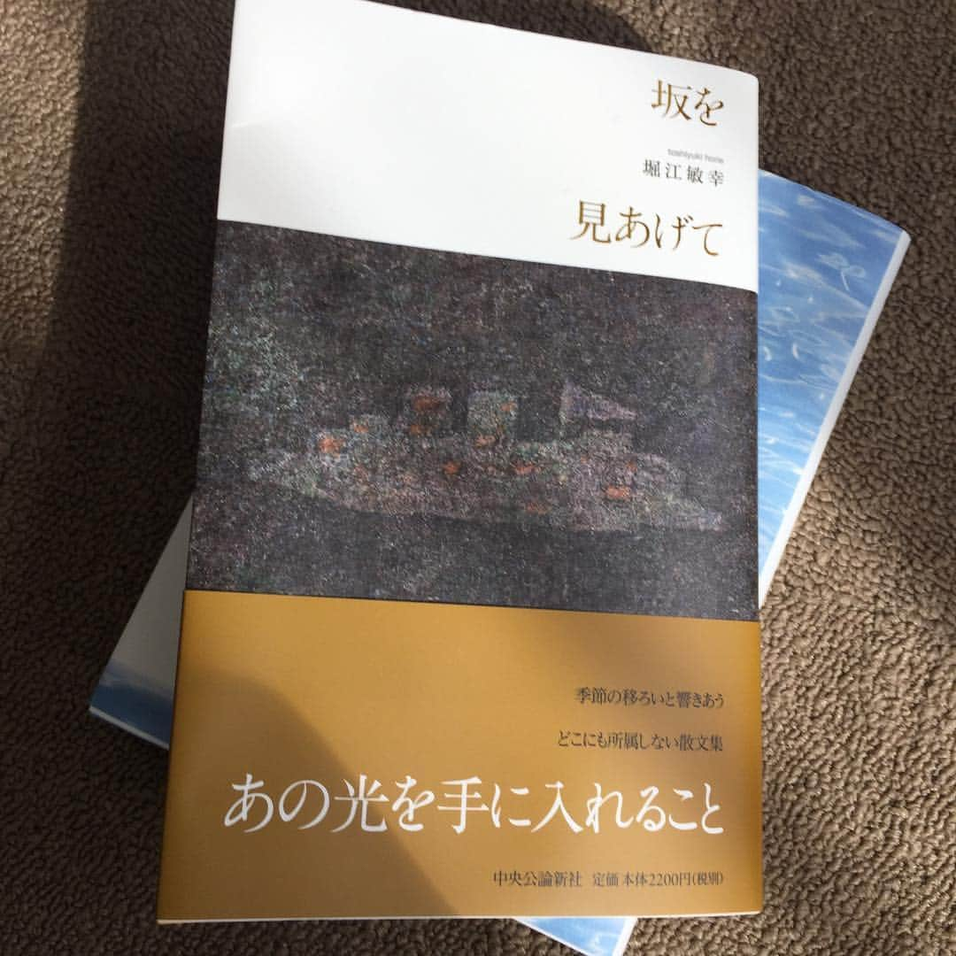 小池昌代のインスタグラム：「堀江敏幸さんの新刊『坂を見上げて』（中央公論新社）刊行記念トークイベントに出演します。３月4日、もうすぐ。下北沢B&B 19時〜 http://bookandbeer.com/event/20180304_b/ #堀江敏幸 #小池昌代」