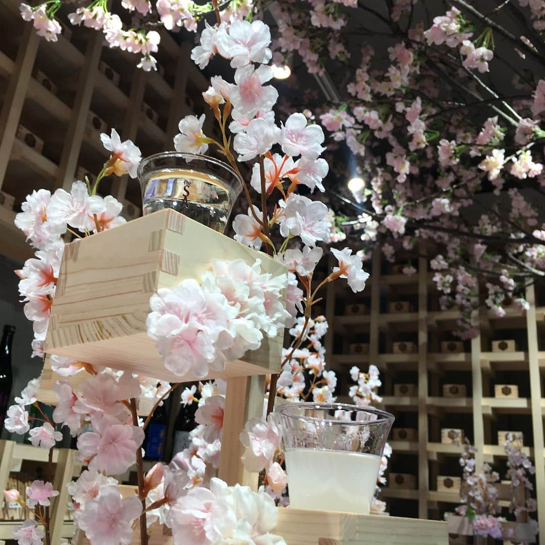 中川友里さんのインスタグラム写真 - (中川友里Instagram)「happy flower pink splash‼︎‼︎👙🌸💓👯‍♀️🌸👙👚💓🌸👩‍❤️‍💋‍👩💅🌸 #sakura #blooming #cherryblossom #早めの #花見 #🌸 #桜 #表参道 #表参道駅 #明日から #sake #酒 #日本酒 #🍶 #サクラチルバー #sakurachillbar #佐賀ん酒 @afromance」2月28日 20時53分 - darayunya