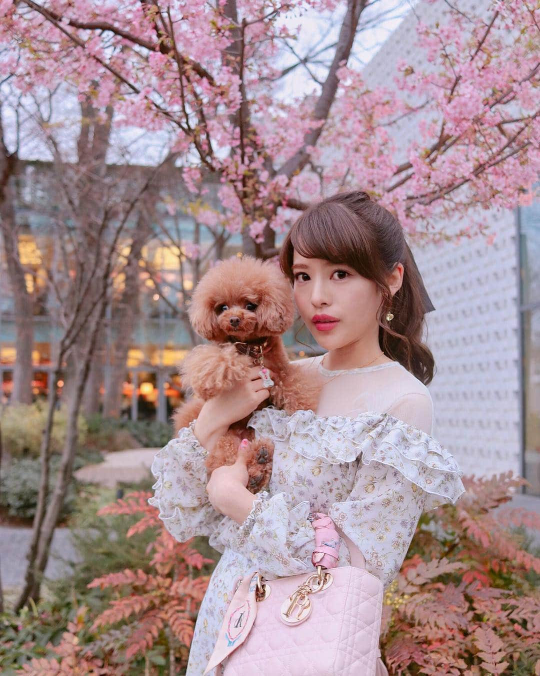 小沼瑞季さんのインスタグラム写真 - (小沼瑞季Instagram)「🌸🌸🌸 . . . 🐶の健康診断をしに 代官山Tサイトへ📖🌸 . .  河津桜🌸がもう咲いてました💕 .  ヘアもこのまえ染めたばっかり💓 なつきさんありがとうございます✨ .  ２月ももう終わり🌷 今日は暖かかったね😌春〜〜🐝🍀 . . . #daikanyamatsite#daikanyama#daikanyamatsutaya#代官山蔦屋#代官山#代官山カフェ#代官山tsite#トイプードル#お散歩#honeymihoney#dior#ladydior#springcomesoon#springcoming#花のある暮らし#花のある生活#春コーデ#河津桜#桜#さくら#桜が咲いた#sakura#cherryblossom#春が来た 🌸🌸🌸」2月28日 21時33分 - mizukikonuma