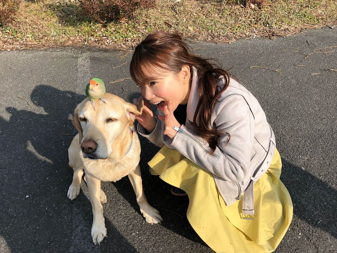 重盛さと美さんのインスタグラム写真 - (重盛さと美Instagram)「犬と小鳥と重盛🐕🐥👼🏻 #大分#ロケ#楽しい」3月1日 15時37分 - satomi_shigemori