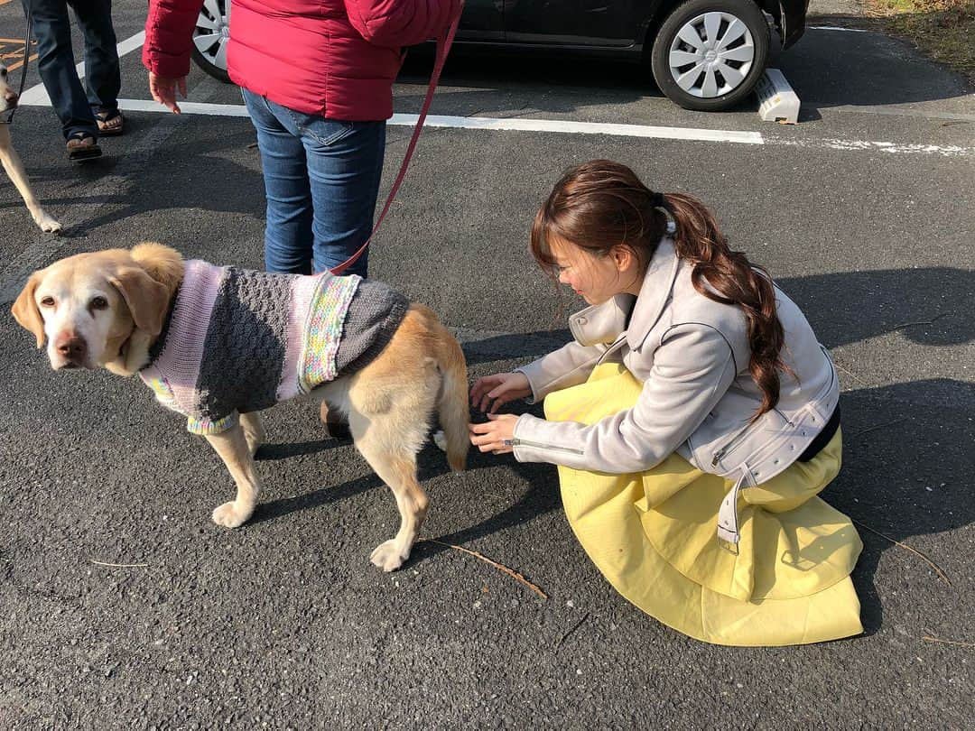 重盛さと美さんのインスタグラム写真 - (重盛さと美Instagram)「犬と小鳥と重盛🐕🐥👼🏻 #大分#ロケ#楽しい」3月1日 15時37分 - satomi_shigemori