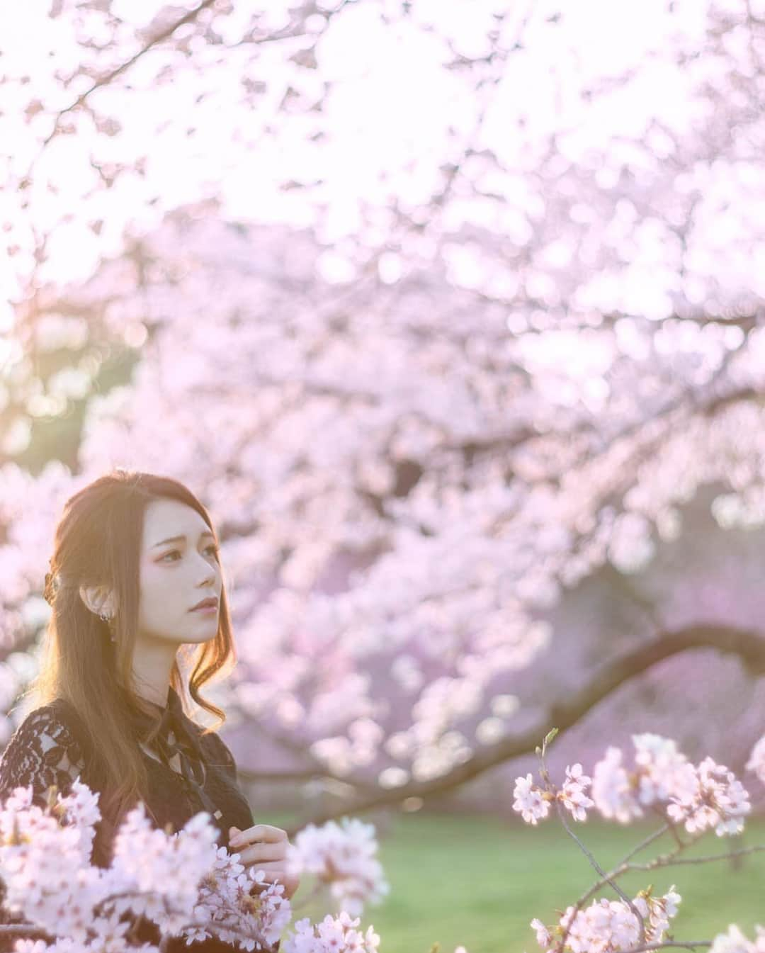 小日向楓さんのインスタグラム写真 - (小日向楓Instagram)「･ ･ 桜撮影の時期だね🌸 ･ ･ #撮影 #ポートレート #被写体 #カメラ #写真 #写真好きな人と繋がりたい #ポートレートモデル #桜 #春 #お花 #photo #portrait #model #camera #oldlens #cherryblossom #spring #flower #instagood #instagram #instafollow #followme」3月31日 12時46分 - _kaenyanta10_