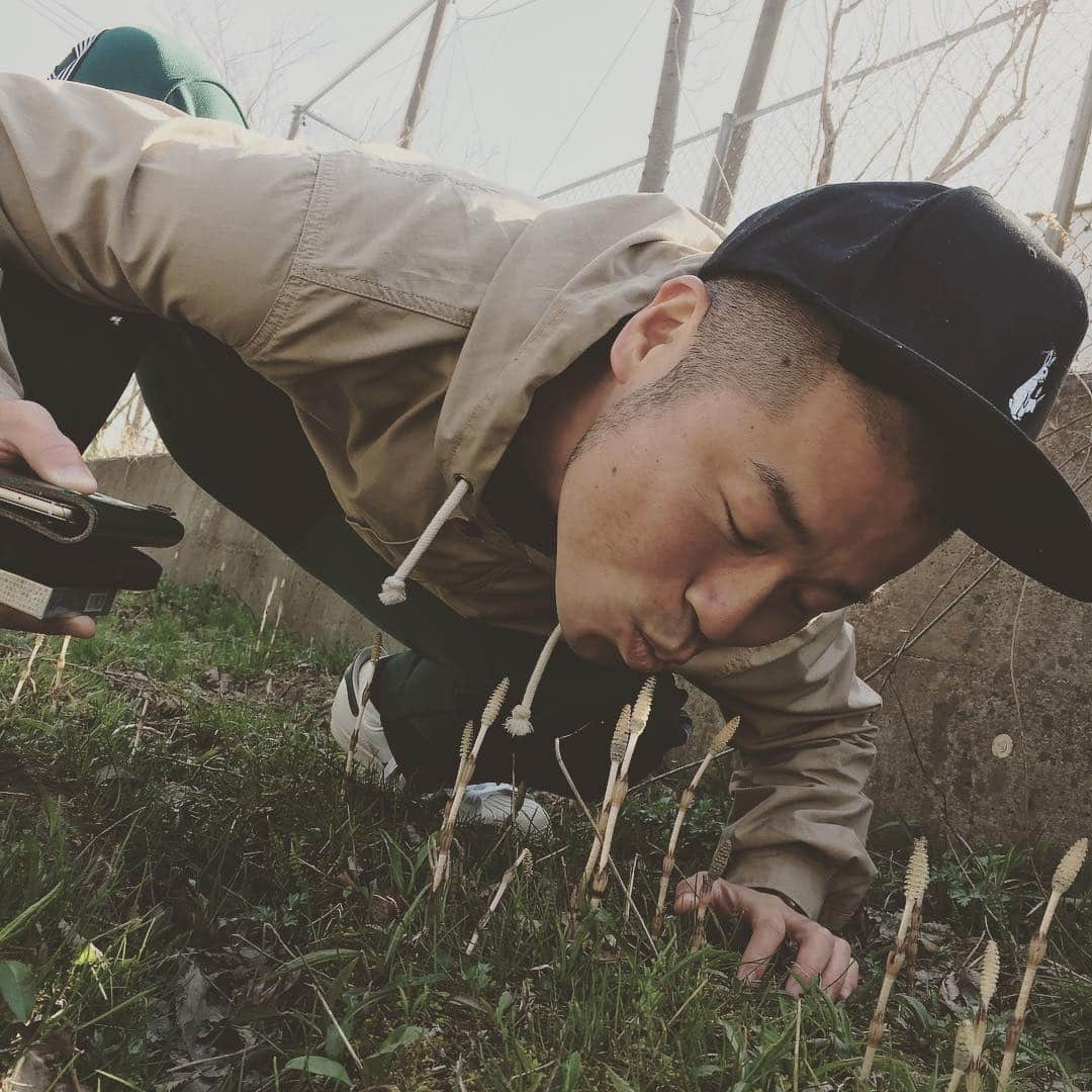 稲田直樹のインスタグラム