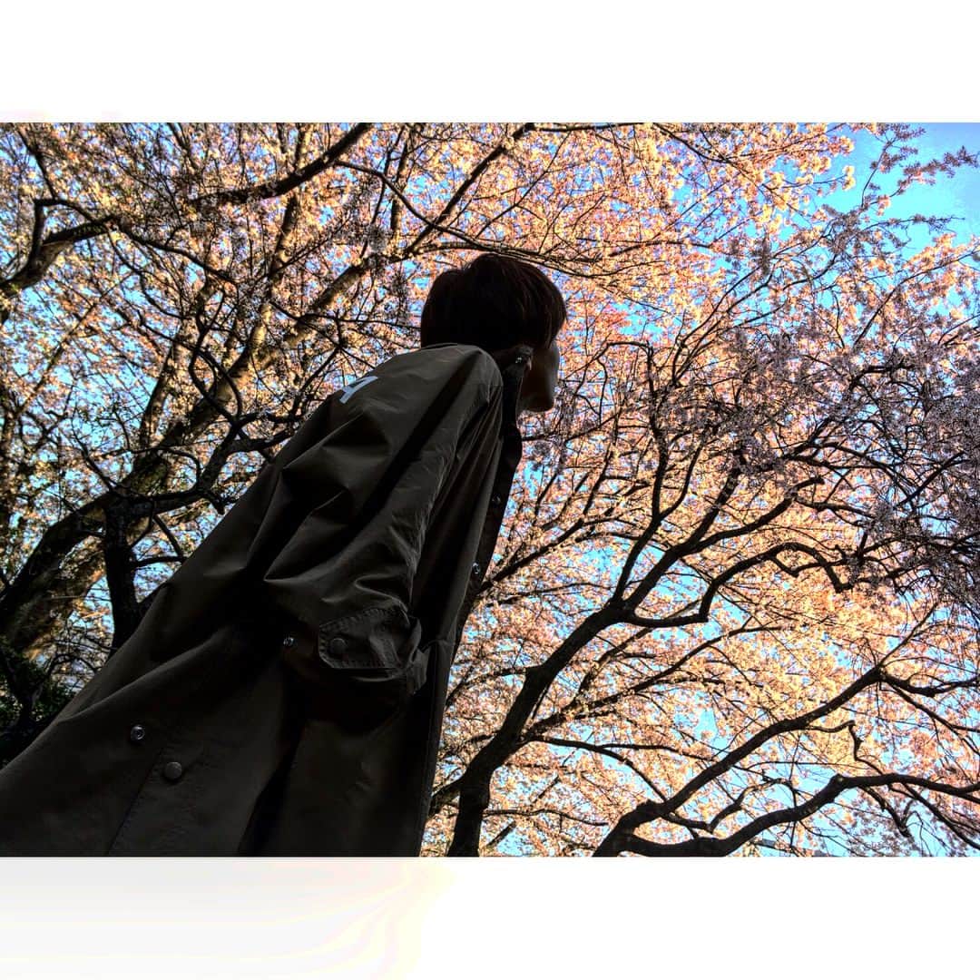 岩田剛典さんのインスタグラム写真 - (岩田剛典Instagram)「🌸🌸🌸」3月31日 16時17分 - takanori_iwata_official