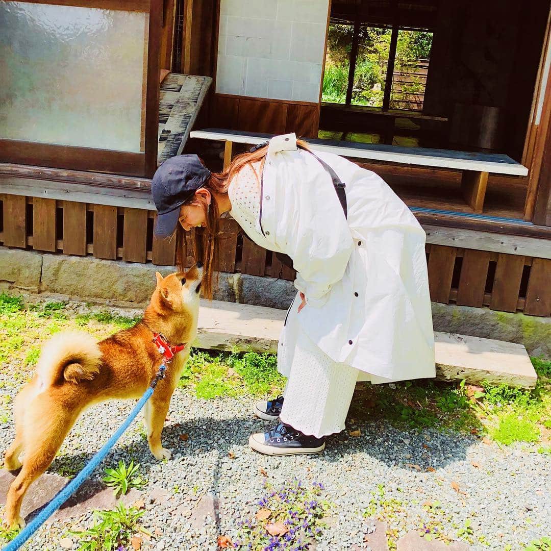 スザンヌのグルメインスタ