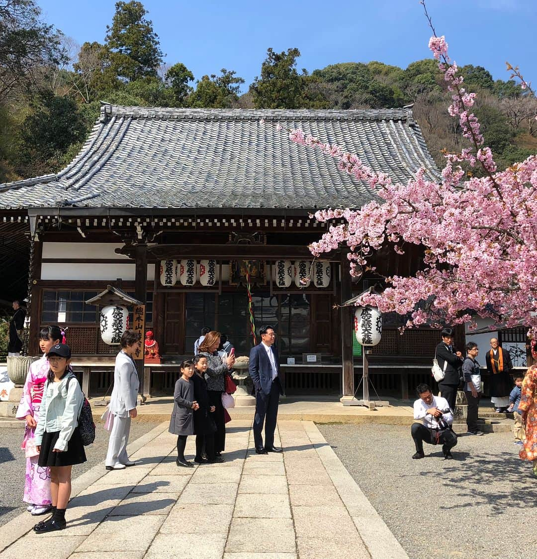 石田靖さんのインスタグラム写真 - (石田靖Instagram)「テレビ東京❼『昼めし旅』で京都嵐山 「あなたのご飯見せてください」 で皆さんにお話伺ってます🙏🙏🙏 どんな出逢いがあるんでしょうか？ 撮影中〜4月13日OA予定😆 #テレビ東京 #昼めし旅 #あなたのご飯見せてください #京都 #Kyoto #嵐山 #渡月橋 #十三参り #十三詣り #今年で53歳のイシダ #十三参り知りませんでした #勉強不足 #法輪寺 #桜 #cherryblossom  #3枚目 #舞妓さん #と思ったら #果たして #一期一笑  #石田靖」3月27日 13時13分 - yasulog