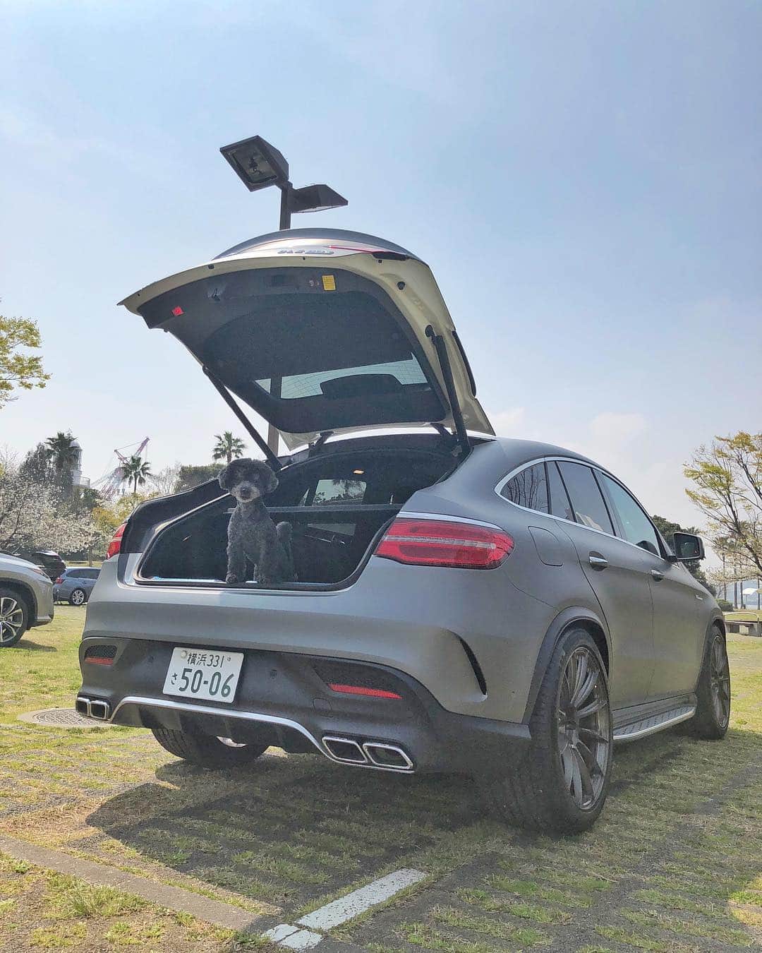 のインスタグラム：「#GLE63クーペ #ワンコロ」