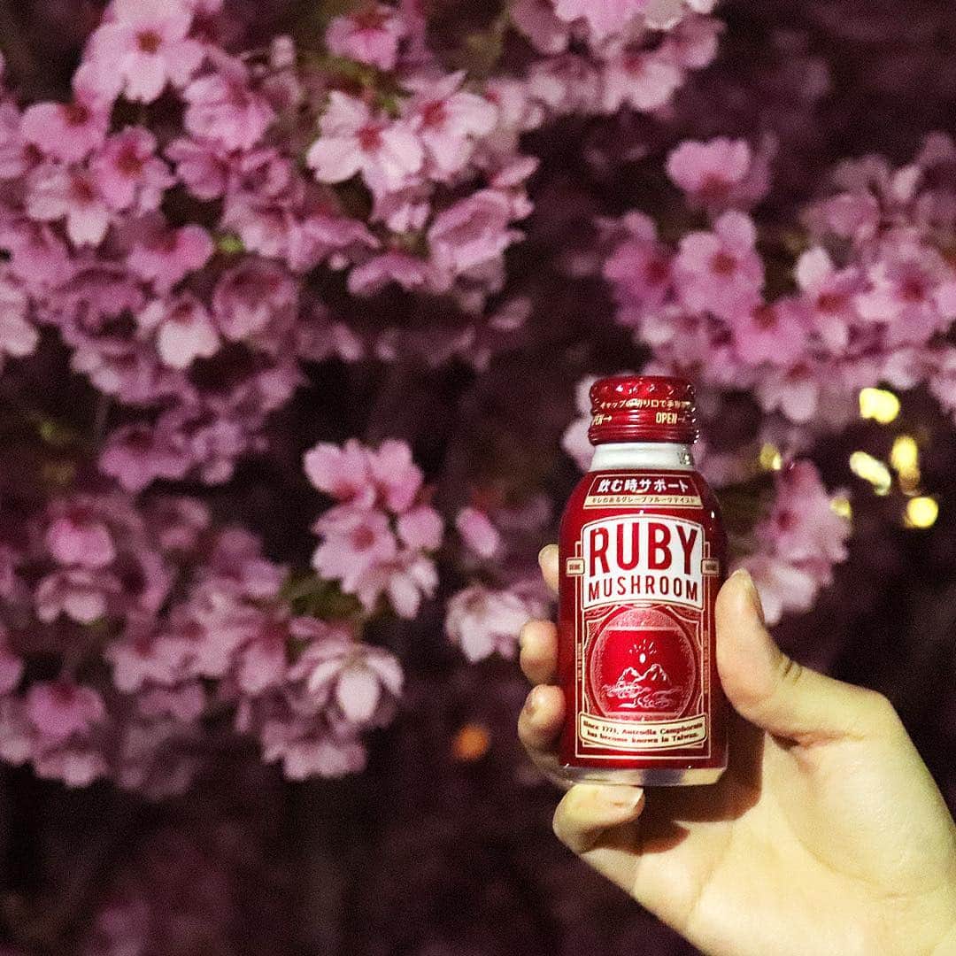 RUBY MUSHROOMのインスタグラム：「【Sakura day.】 今日は #さくらの日 🌸 お花見シーズン本格的に到来ですね♪ 夜桜会にも #とりあえずルービー を連れてって☺️❤️ ⠀ #RUBYMUSHROOM #ルビーマッシュルーム @rubymushroomjp」