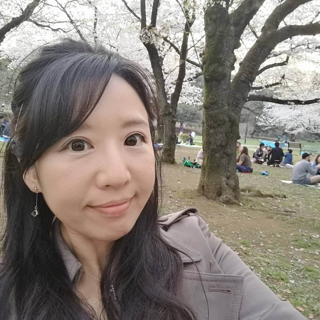 西川宏美のインスタグラム：「お花見でしたよー(*^^*) そろそろ撤収しますけど。 #お花見 #満開 #お腹いっぱい #春ですね」