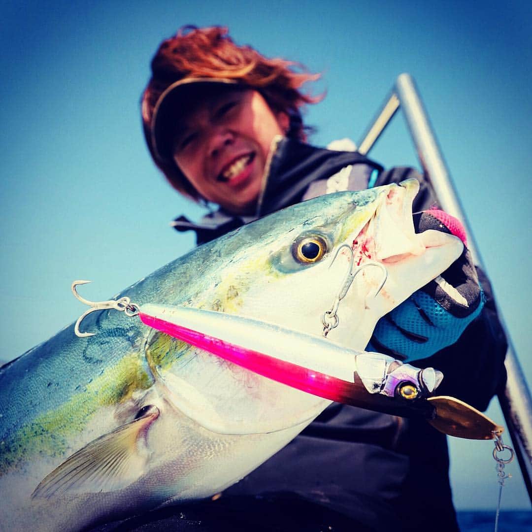 ジャッカルのインスタグラム