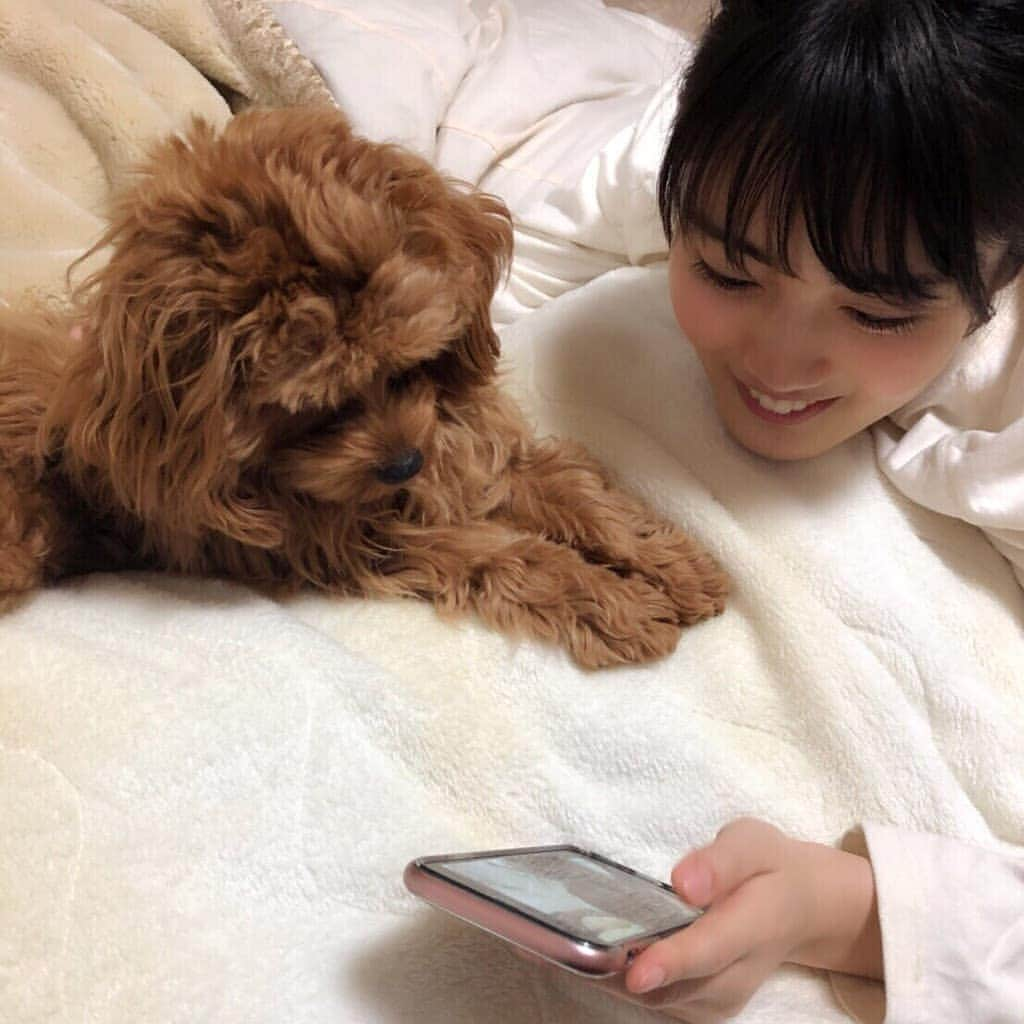 水谷果穂さんのインスタグラム写真 - (水谷果穂Instagram)「モナカと写真チェック🤳 おりこうさんです。 #幸せなひと時 #おててかわいい」3月27日 20時02分 - kahomizutani_official