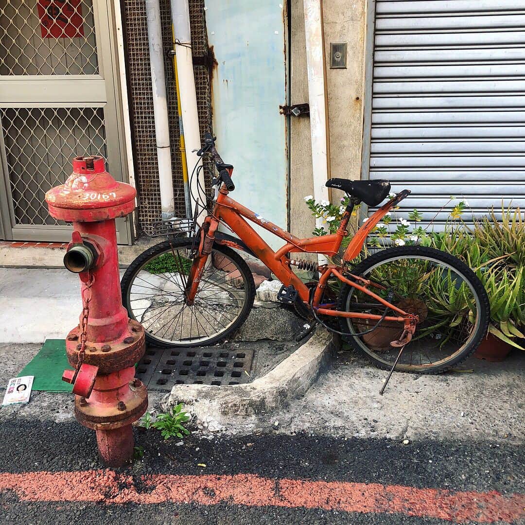 小堀紀代美さんのインスタグラム写真 - (小堀紀代美Instagram)「大通りから一歩入ると、時に迷路のような路地歩きが楽しい台南です。滞在中、思ったよりもさわやかなお天気！ #cobo旅  #cobo旅taiwan 台南」3月28日 1時34分 - likelikekitchen