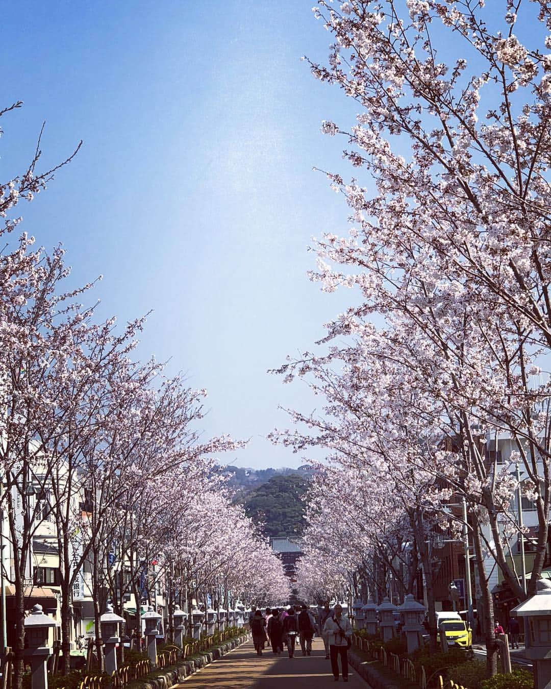 笛木優子のインスタグラム：「今日は鎌倉でドラマ撮影でした🌸🌸 私は愛川由紀役です。 「あなたには帰る家がある」 略してあな家。 あな家の由紀だから、 私はアナ由紀🙄🙄🙄 みなさん良い一日を。。。😝」