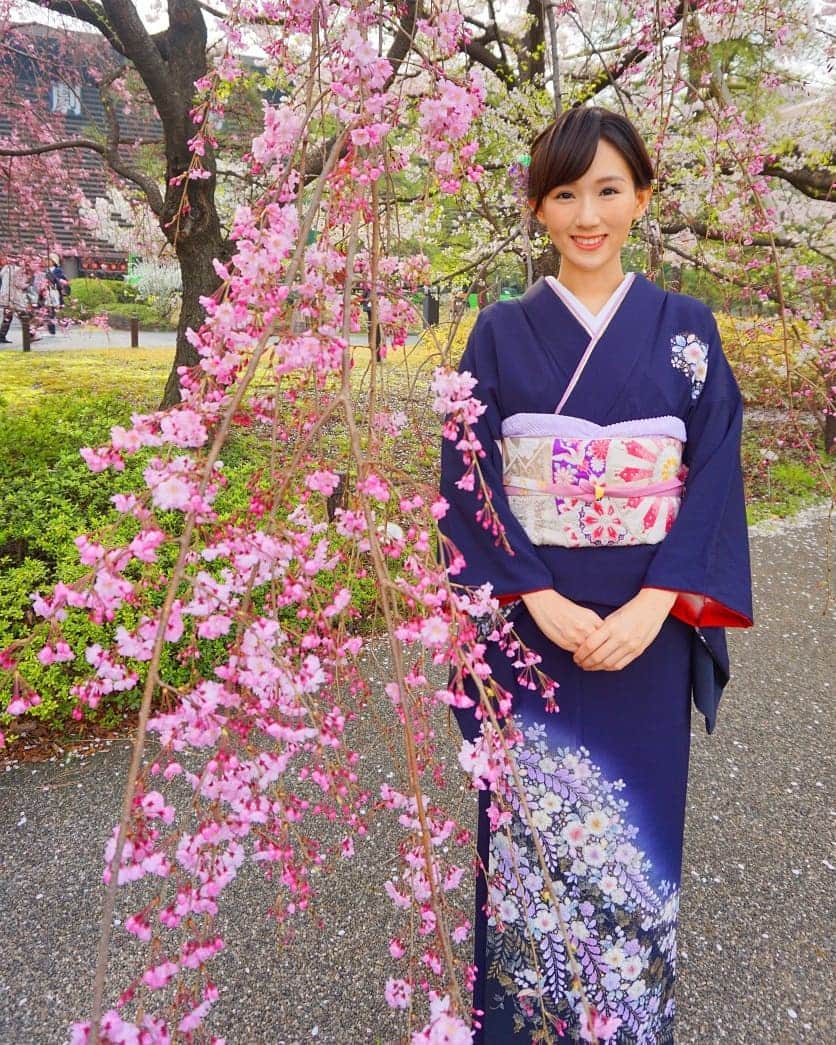 谷中麻里衣さんのインスタグラム写真 - (谷中麻里衣Instagram)「Cherry blossoms in full bloom 🌸 . 桜と💓 . #着物 #着物コーデ  #着物生活  #訪問着 #辻が花 #和装 #桜 #花見 #お花見 #cherryblossom  #japan #kimono #麻里衣きもの」3月28日 9時44分 - marieyanaka
