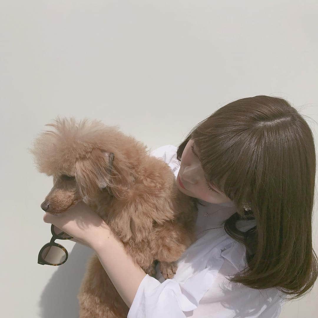 のインスタグラム：「・ 写真を撮ろうとするとそっぽ向いちゃうらいくん🐶💗 可愛すぎた、、、 すっっごく癒されました😆💕 いつかわんちゃん飼いたいなぁ🤔✨」