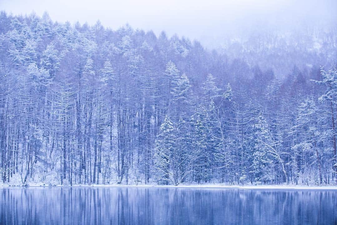 nazonokuniのインスタグラム：「. 先日雪の降った時の御射鹿池です。 池の氷も溶けて綺麗な景色が見れました。 昨年も4月に雪が降っているのでまだ期待できるかもしれません！ . #諏訪の国 #謎の国諏訪の国 #藤森慎吾 #Japan #nagano #suwa #日本 #長野県 #諏訪 #茅野市 #奥蓼科 #御射鹿池 #雪 #池 #ため池百選 #リフレクション #諏訪カメラ部」