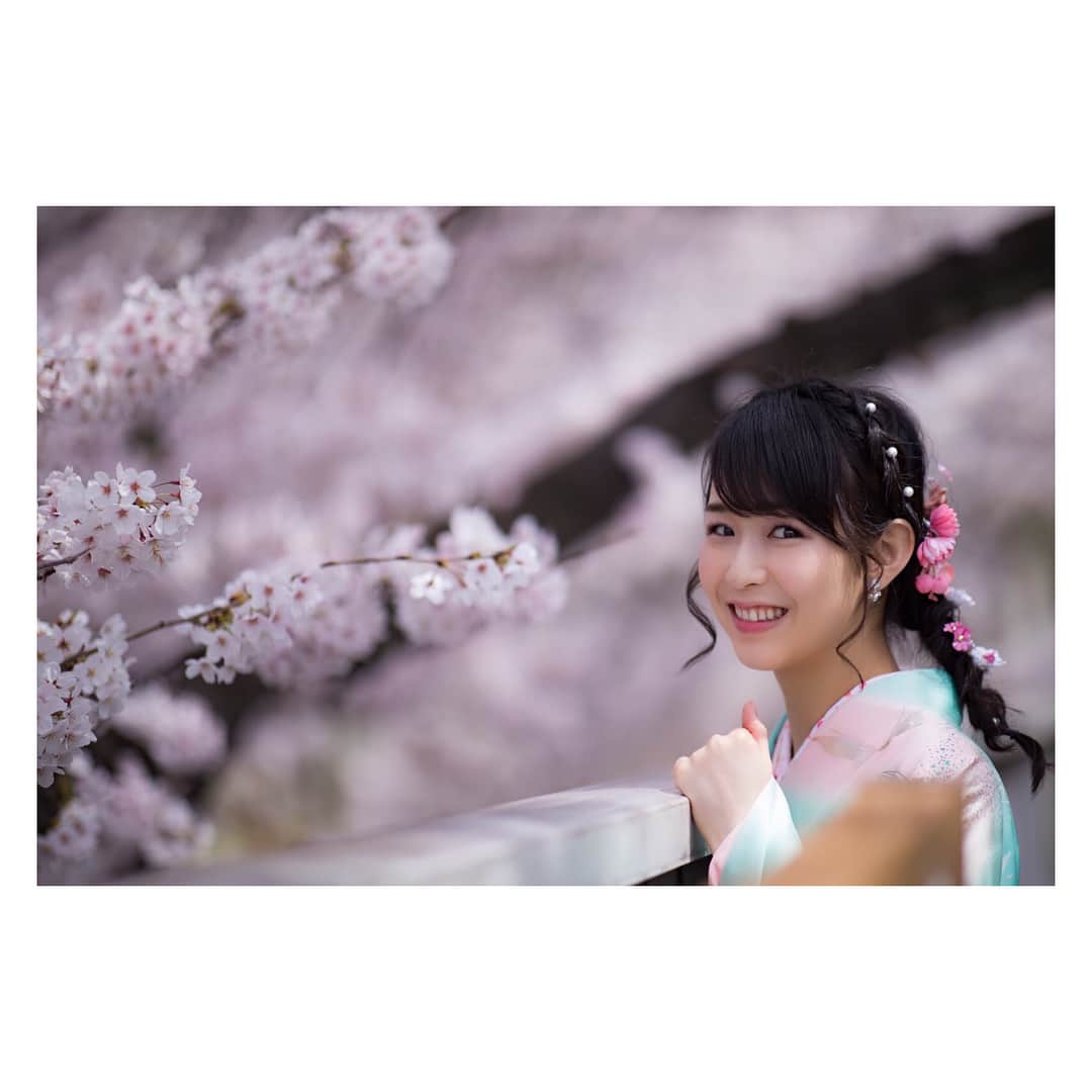 今井遥さんのインスタグラム写真 - (今井遥Instagram)「桜がとても綺麗でした😊🌸 #桜 #袴 #2018ss」3月28日 21時14分 - haruka_imai_831