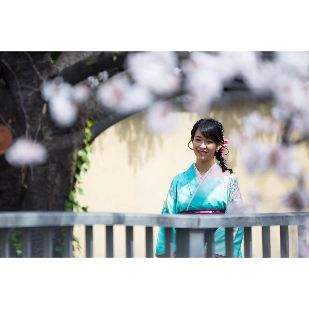 今井遥さんのインスタグラム写真 - (今井遥Instagram)「桜がとても綺麗でした😊🌸 #桜 #袴 #2018ss」3月28日 21時14分 - haruka_imai_831