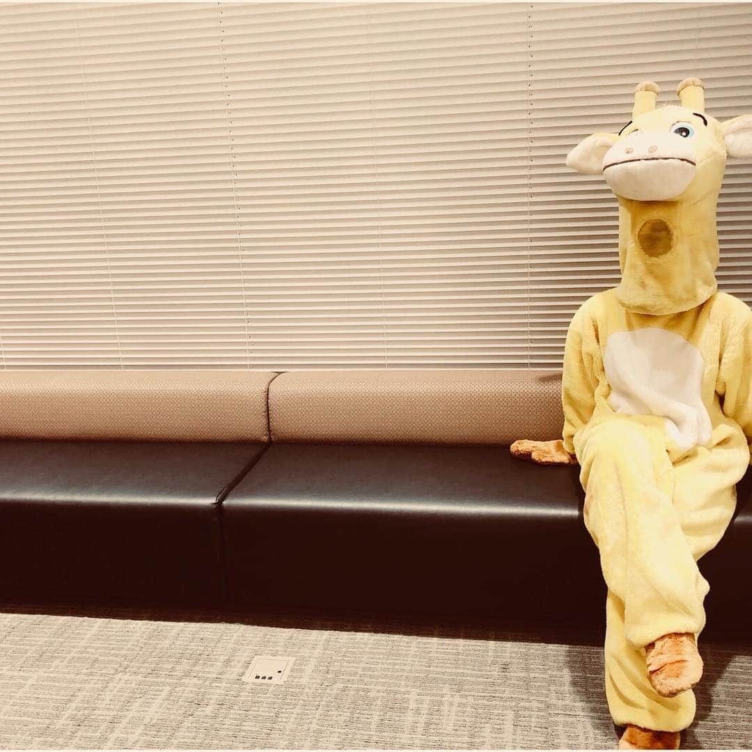 小林歌穂さんのインスタグラム写真 - (小林歌穂Instagram)「ㅤㅤㅤ ㅤㅤㅤキリンのメアリーちゃん ㅤㅤㅤ ㅤㅤㅤㅤㅤㅤ ㅤㅤㅤ  #小林歌穂#エビ中#showroom#エビ中タイムズ#見てくれてありがとう#着ぐるみ着たかった#着れてよかった#遊園地とかの着ぐるみのバイトさんたちすごい#あははははは」3月28日 21時43分 - kobayashi_kaho_official