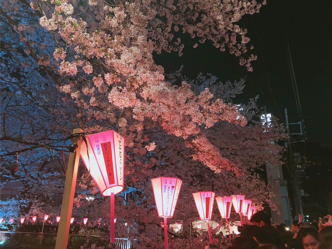 深川麻衣 さんのインスタグラム写真 - (深川麻衣 Instagram)「🌸 友達と夜桜を見に目黒川へ！ 東京に来てもう結構たつのに、 ちゃんとお花見したの今年が初めてでした。 はぁーーー綺麗だった…。 信じられないぐらい幻想的でした＊」3月28日 23時10分 - fukagawamai.official