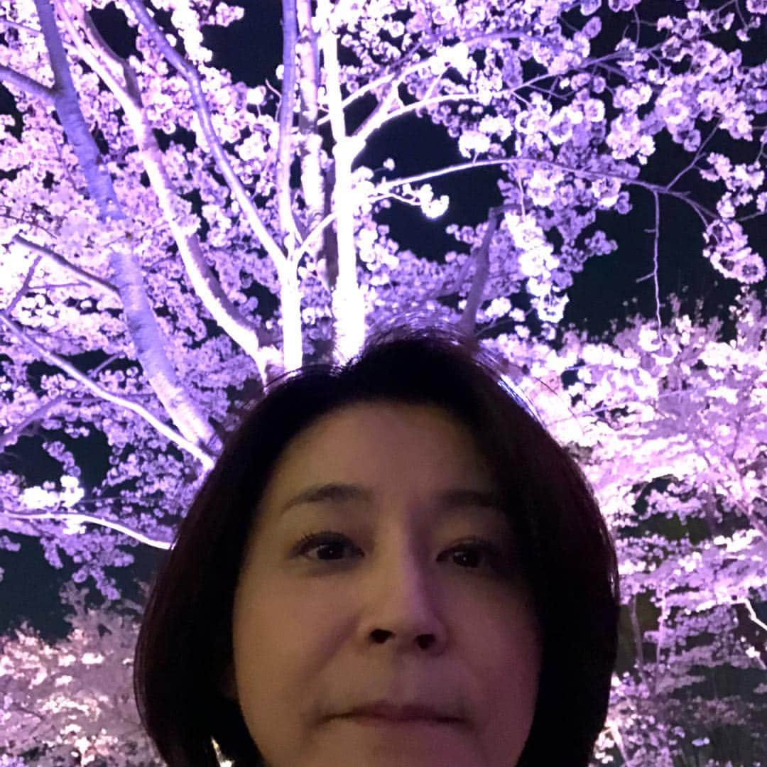 高嶋ちさ子さんのインスタグラム写真 - (高嶋ちさ子Instagram)「せっかくの夜桜見物。写真がホラーっぽいと言われた。 ウケる 友達3人で桜の木の下で大盛り上がり！ 最高に笑った夜でした。」3月28日 23時59分 - chisakotakashima