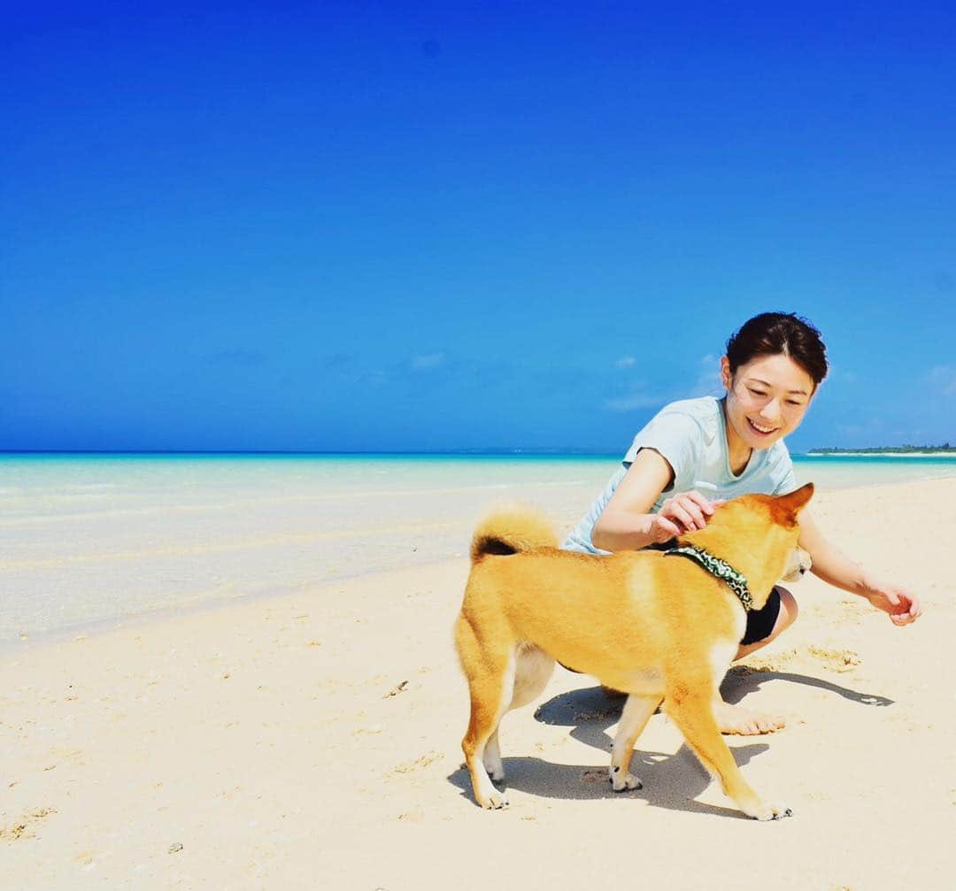 松山まなかさんのインスタグラム写真 - (松山まなかInstagram)「#沖縄 #宮古島 #わんこ旅 #犬と一緒 #青い海 #青い空 #柴犬 #マラソン女子」3月29日 9時20分 - manakamatsuyama