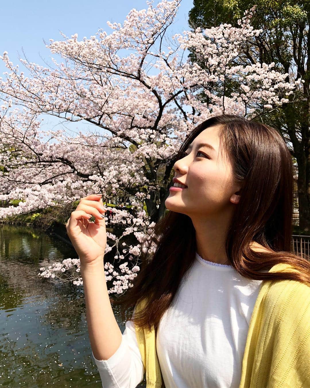 のインスタグラム：「. . 今日はロケで満開の桜と🌸 1日桜見ててほっこり♡♡ . #shooting#model #cherryblossom #2018#spring #hair#make #spring#summer #fashion#fashiongram#coordinate #avexmanagement #instagood#instagram#instalike #お花見#桜#春」