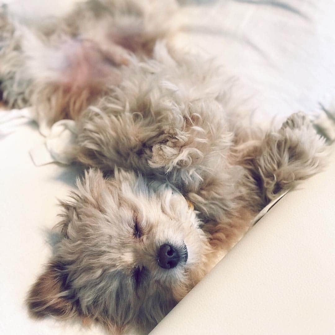工藤万季のインスタグラム