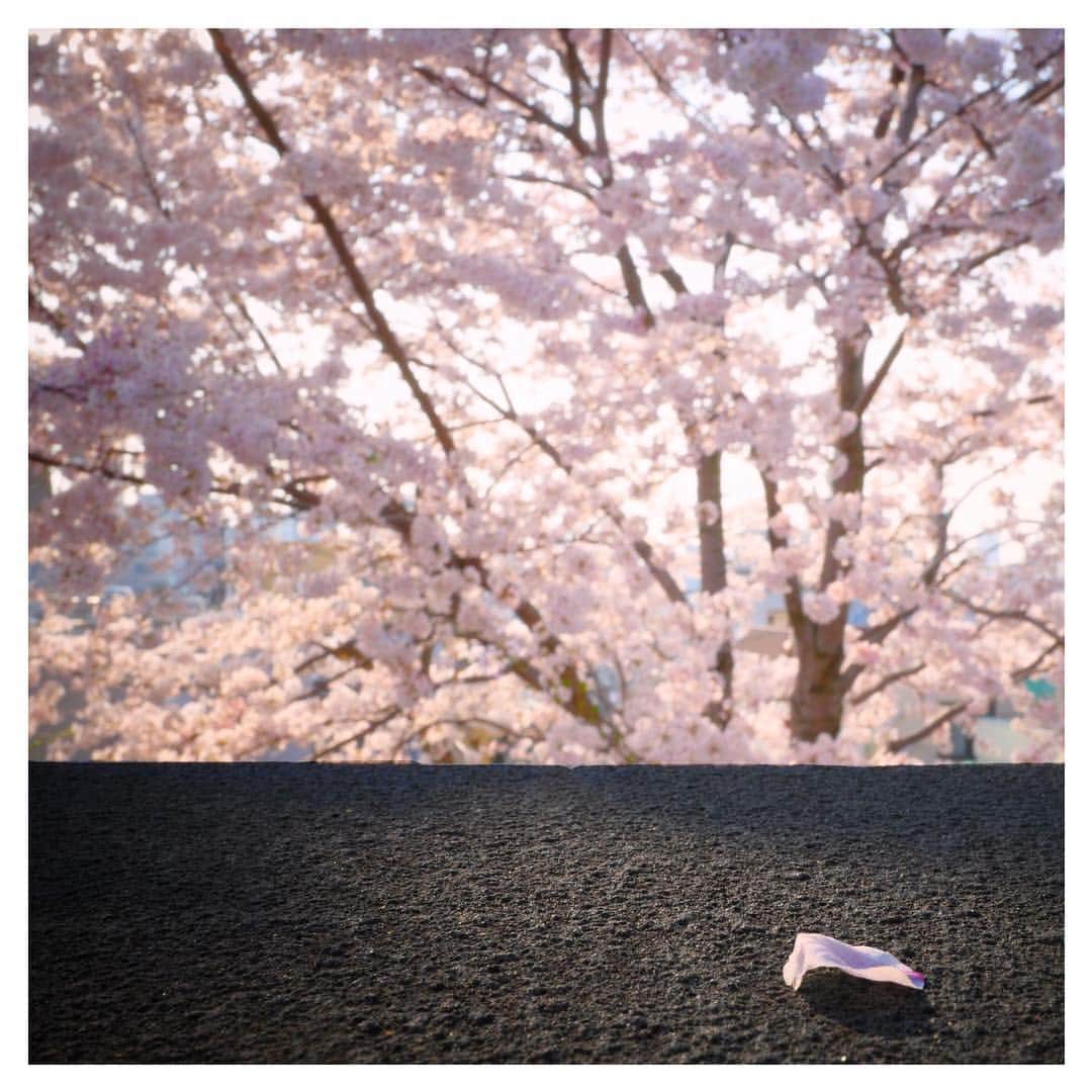 松本寛也さんのインスタグラム写真 - (松本寛也Instagram)「one.」3月29日 15時48分 - hiroyamatsumoto_h.m