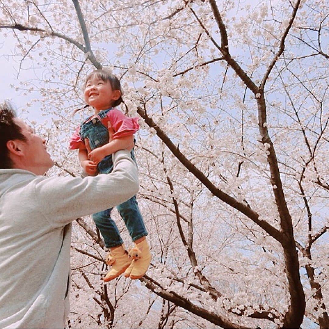 幼児用ファッション地下たびFUM FUM(ファンファン）のインスタグラム：「. この時期らしいステキな1枚です🌸 . こんな景色の中で高い高いしてもらったら気持ちがいい事間違いなしですね😆✨ . FUMFUMは世界初！機能性と可愛さを兼ね備えた子ども用の地下足袋です✨詳しくは公式HPまで💁 ↓ @fumfum.tabi tabi-fumfum.jp/ig/  または【FUMFUM】で検索(☞＾Å＾)☞📲💻 . #ゲンナイ製薬 #キッズ #1歳 #2歳#3歳 #プレゼント #踏み育 #コドモノ #親バカ部 #ママリ #キッズコーデ #親ばか #ファンファン #散歩 #ファーストシューズ #ベビフル #ママカメラ #キャンペーン #足袋 #地下足袋 #小物入れ #ねこ  #fumfum #ig_kids #ig_kidsphoto #kidsgram_tokyo #love #family #ig_oyabakabu」