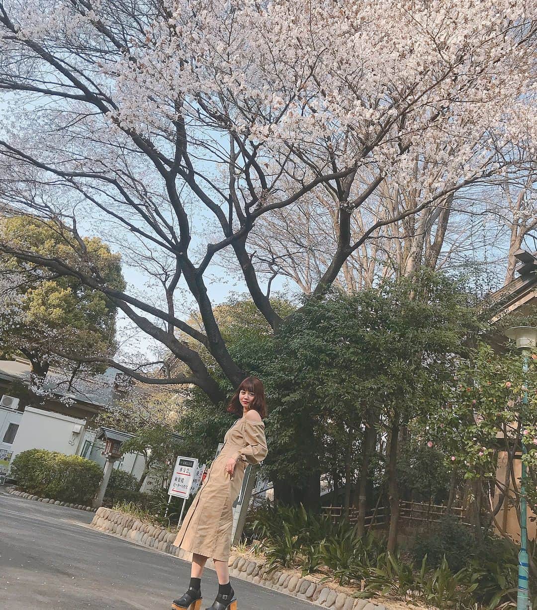 NANAMIさんのインスタグラム写真 - (NANAMIInstagram)「またもや休憩中に桜見に行っちゃった🌸 だってこんなに天気良いんだもん〜👉👈 こんな日にゆったりお花見したいな〜 👉👈 お友達のみんなお花見のお誘い待ってるよ〜🤭💕 . 今日のワンピースは @sly_official  の✌︎ #sly #spring #nana私服」3月29日 17時38分 - nanami023